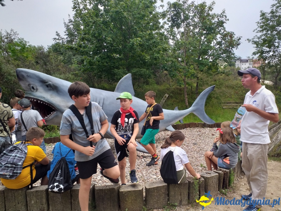 Ocean Park Władysławowo 17.08.2019