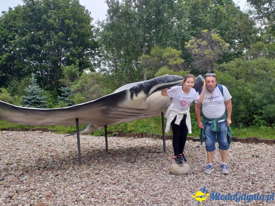 Ocean Park Władysławowo 17.08.2019