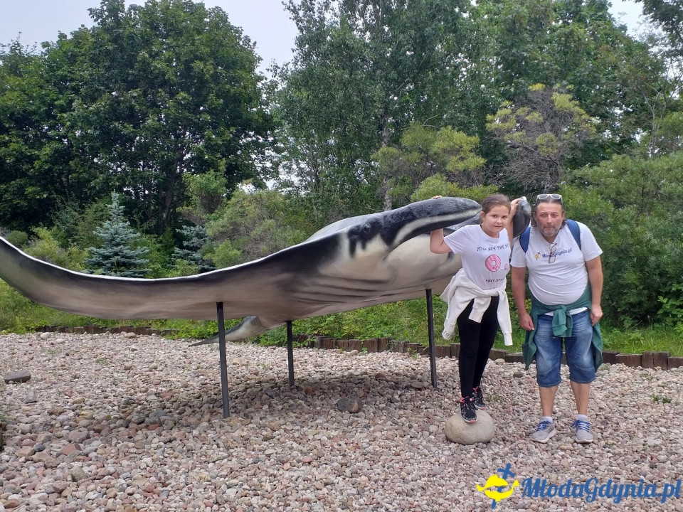 Ocean Park Władysławowo 17.08.2019