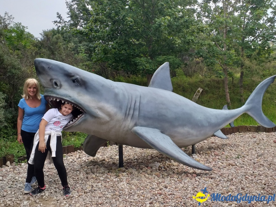 Ocean Park Władysławowo 17.08.2019