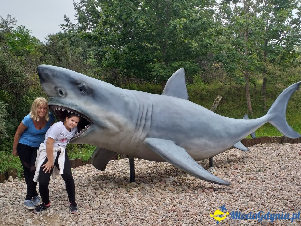 Ocean Park Władysławowo 17.08.2019