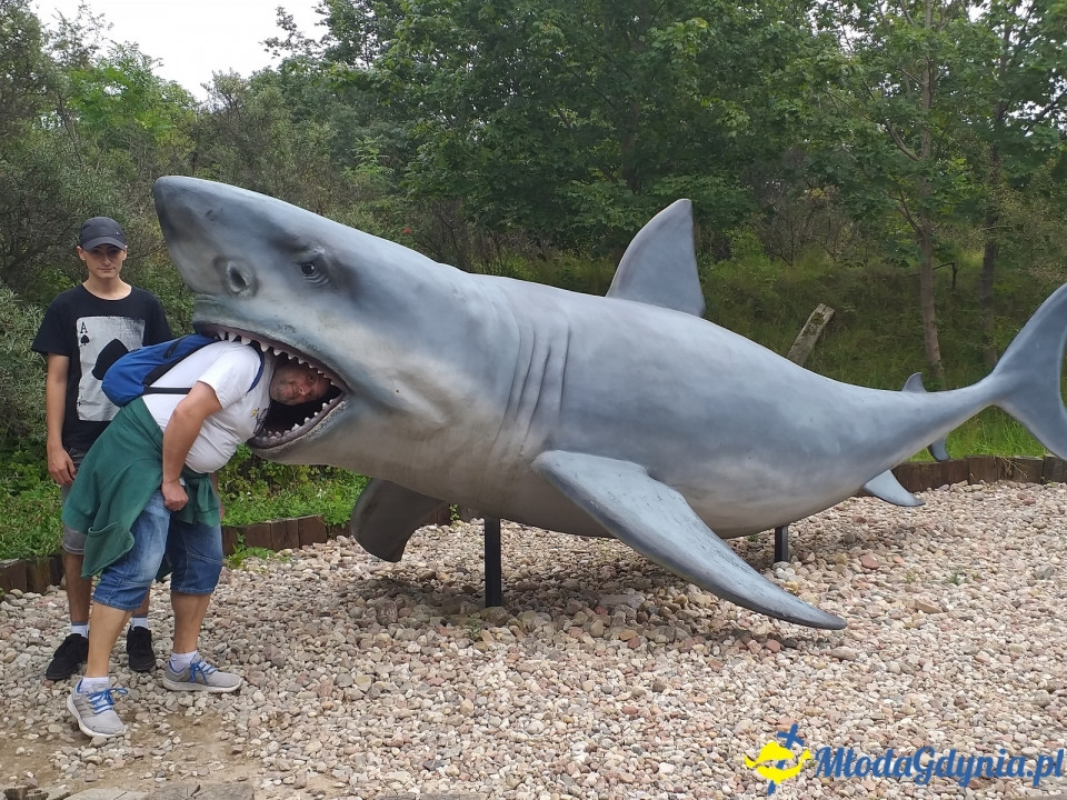 Ocean Park Władysławowo 17.08.2019