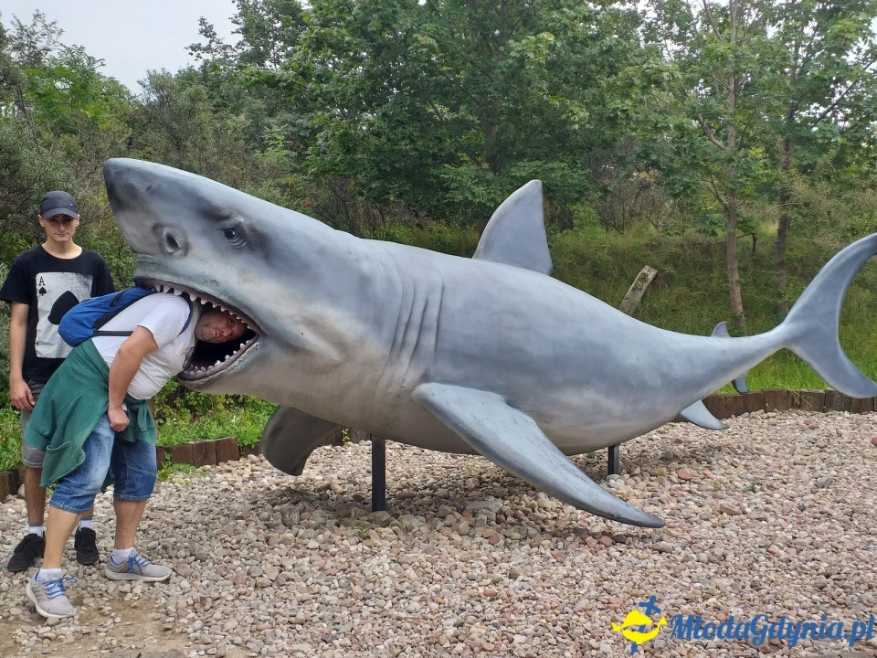 Ocean Park Władysławowo 17.08.2019