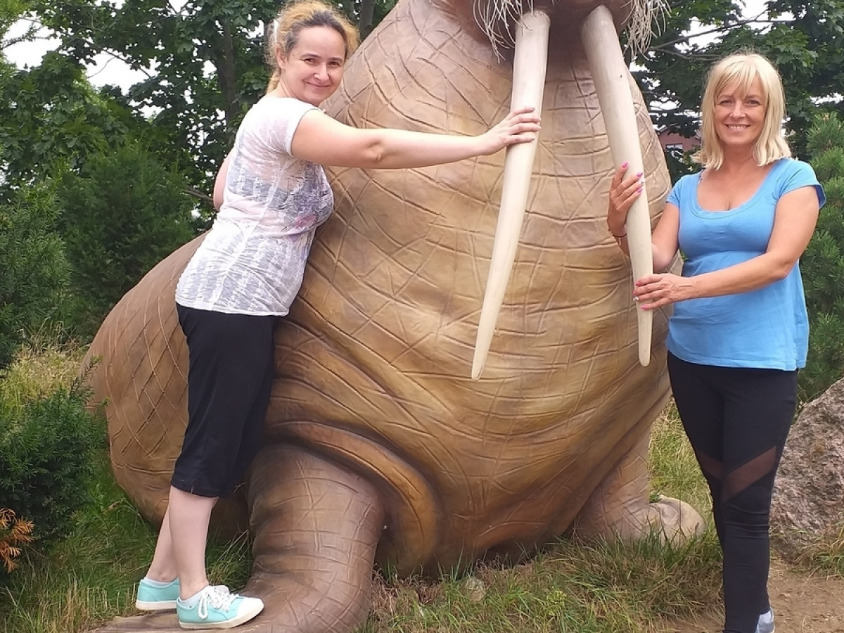 Ocean Park Władysławowo 17.08.2019