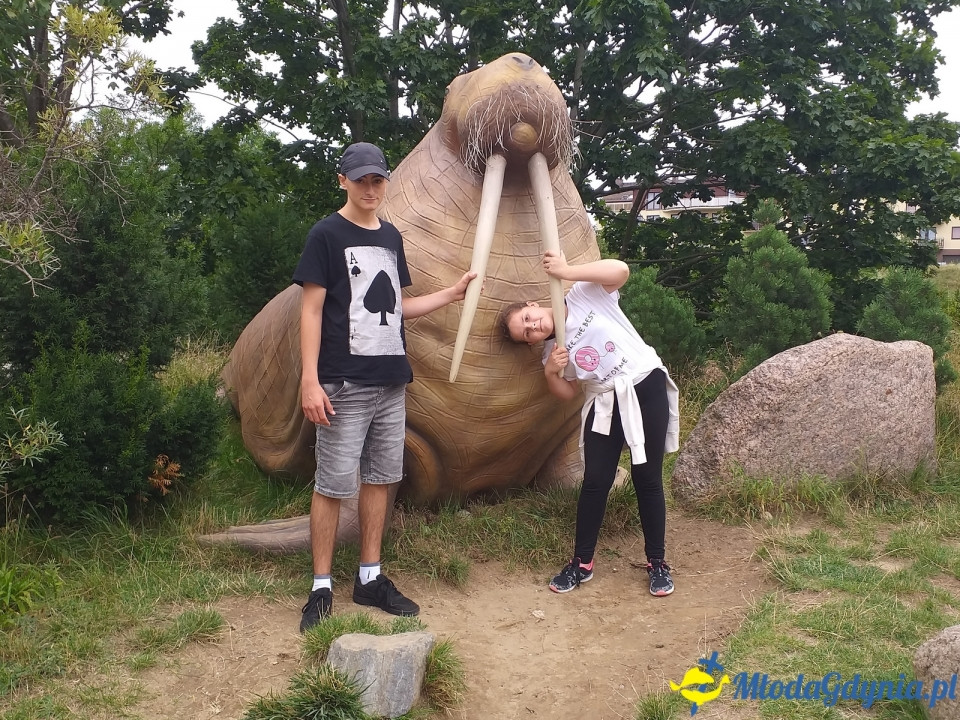 Ocean Park Władysławowo 17.08.2019