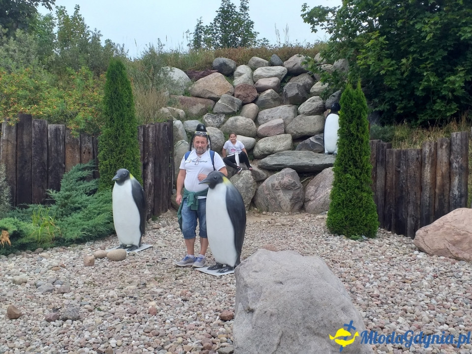 Ocean Park Władysławowo 17.08.2019