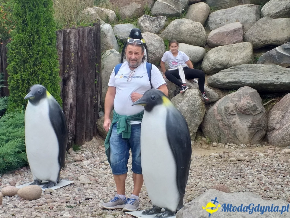 Ocean Park Władysławowo 17.08.2019