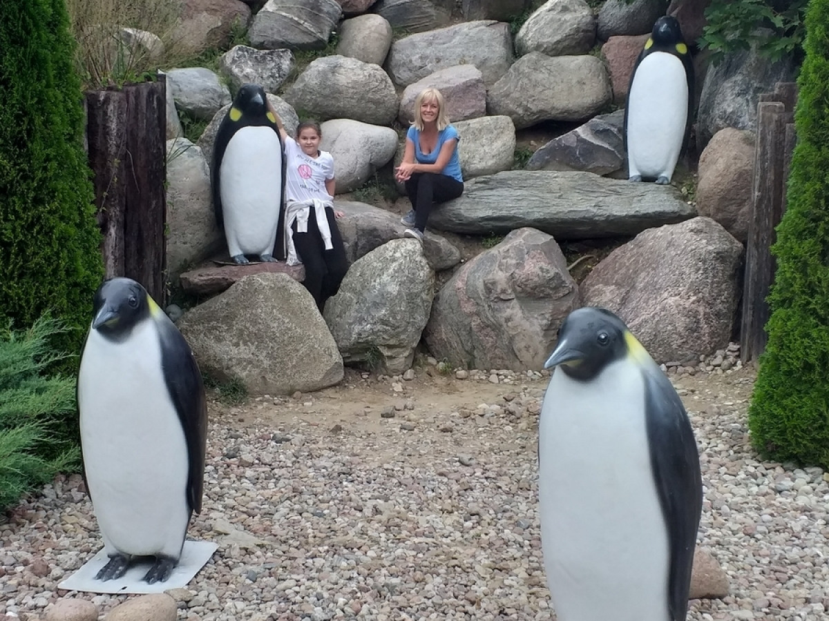 Ocean Park Władysławowo 17.08.2019