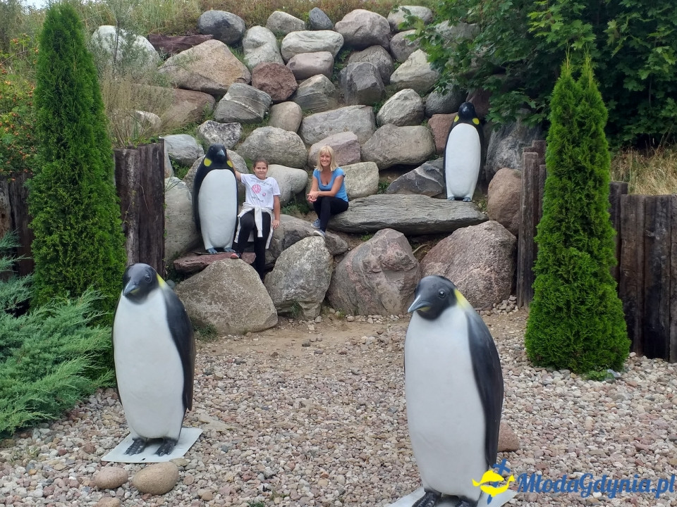 Ocean Park Władysławowo 17.08.2019