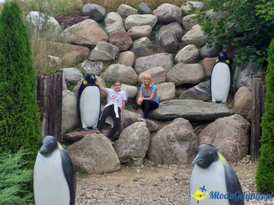 Ocean Park Władysławowo 17.08.2019