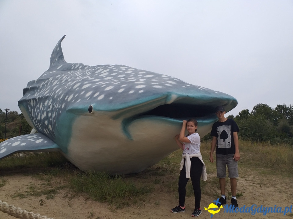 Ocean Park Władysławowo 17.08.2019