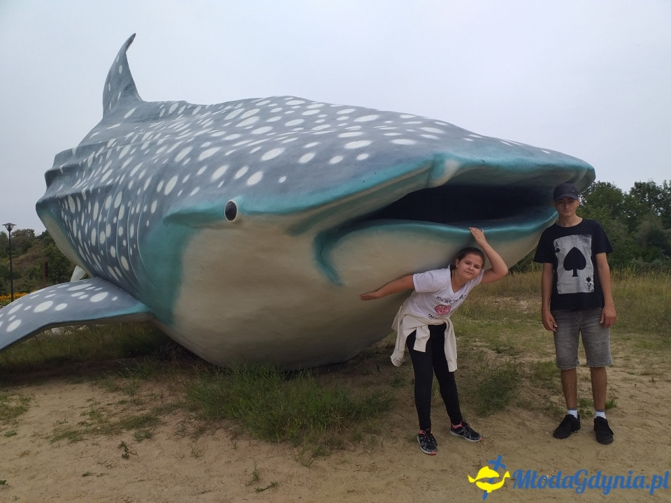 Ocean Park Władysławowo 17.08.2019