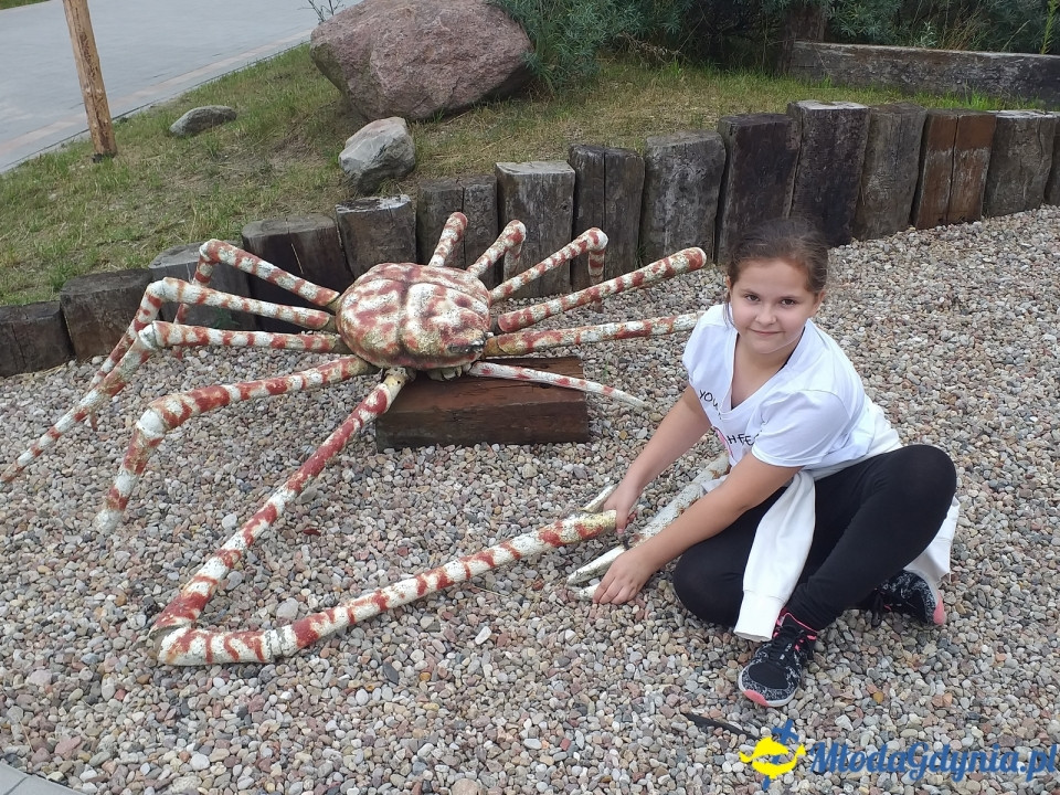 Ocean Park Władysławowo 17.08.2019