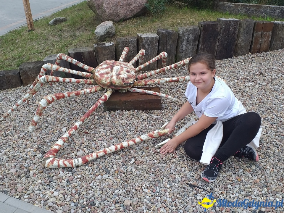 Ocean Park Władysławowo 17.08.2019