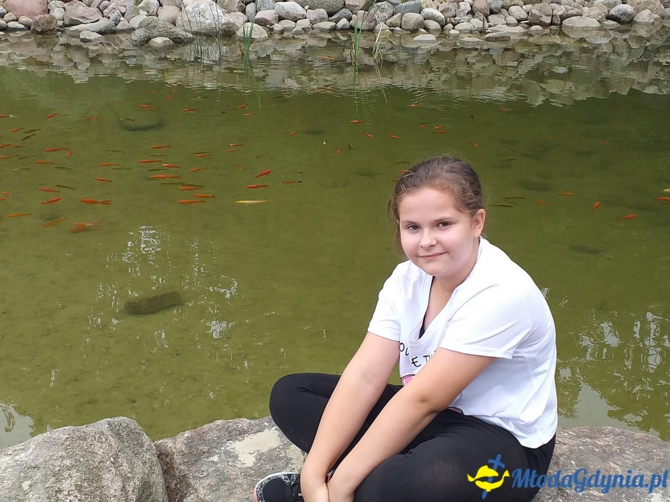 Ocean Park Władysławowo 17.08.2019