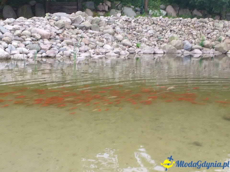 Ocean Park Władysławowo 17.08.2019