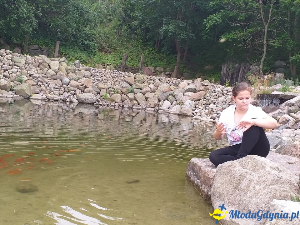 Ocean Park Władysławowo 17.08.2019