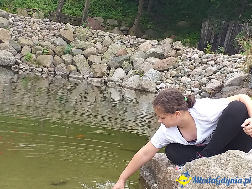 Ocean Park Władysławowo 17.08.2019