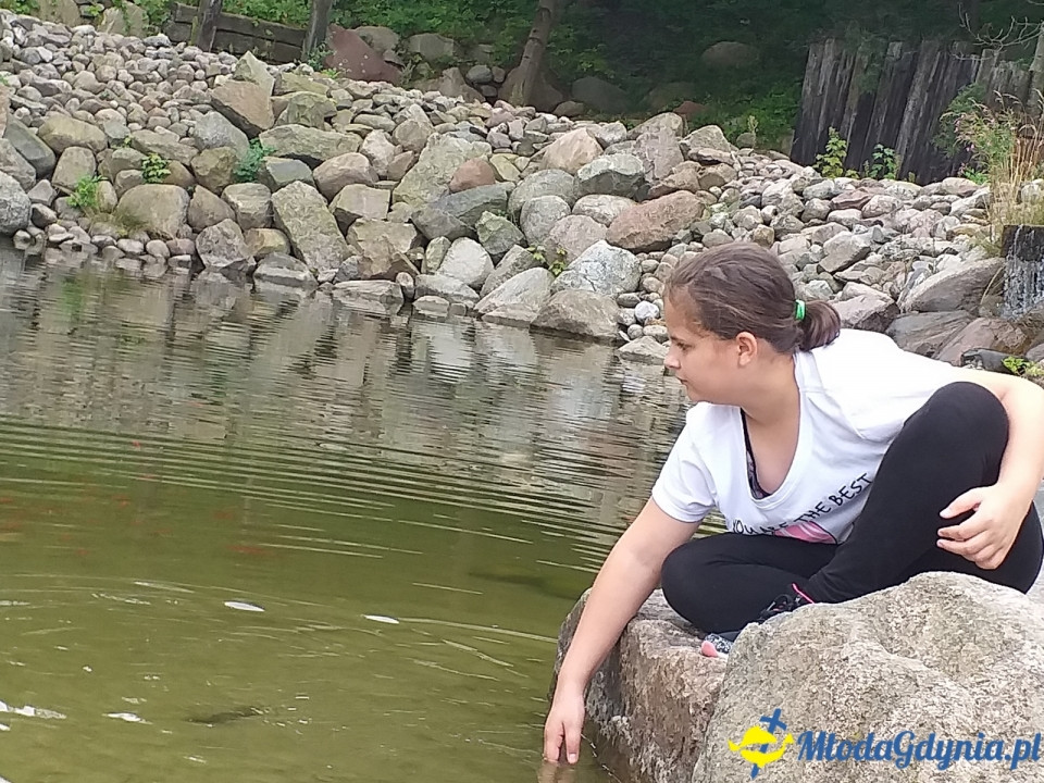 Ocean Park Władysławowo 17.08.2019