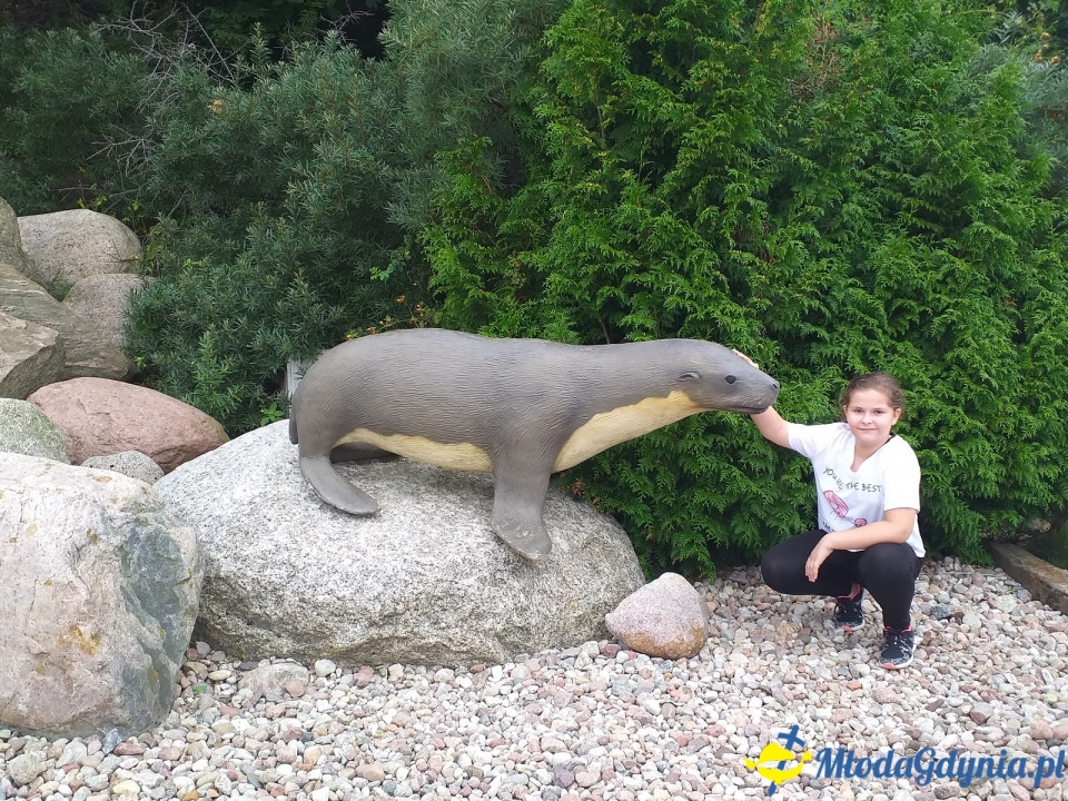 Ocean Park Władysławowo 17.08.2019