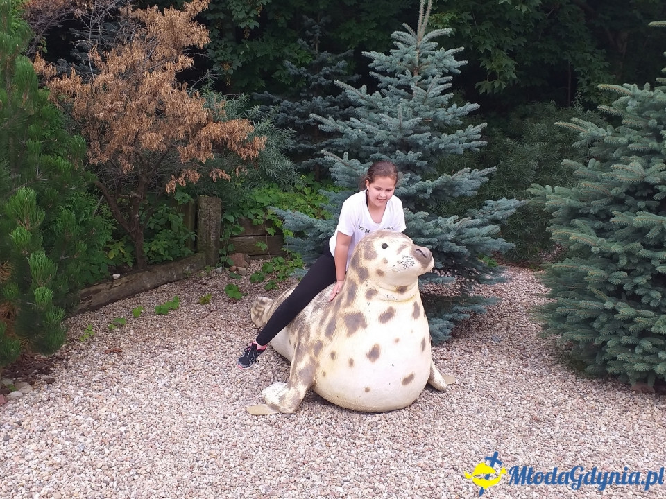 Ocean Park Władysławowo 17.08.2019