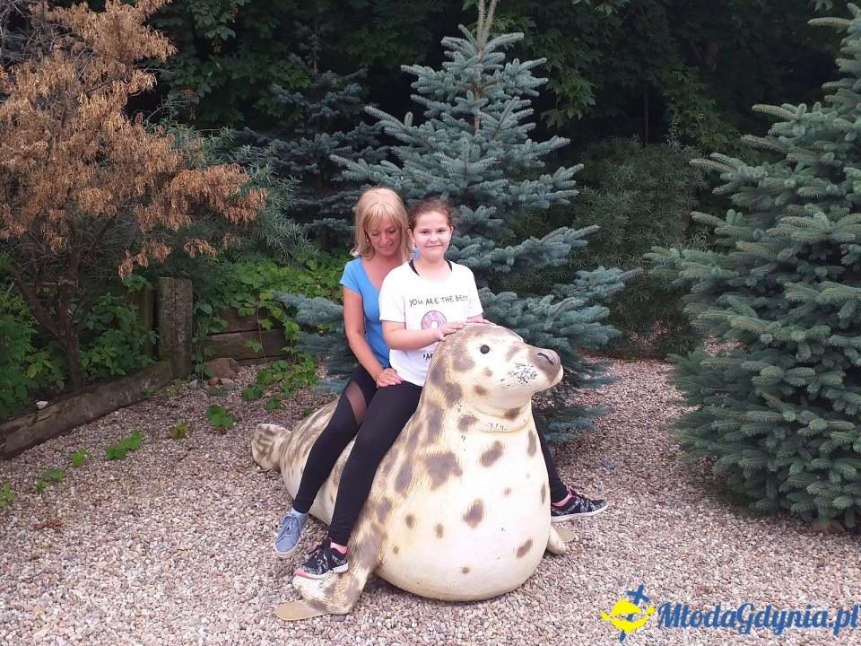 Ocean Park Władysławowo 17.08.2019