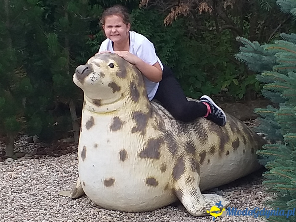 Ocean Park Władysławowo 17.08.2019