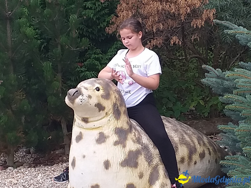 Ocean Park Władysławowo 17.08.2019