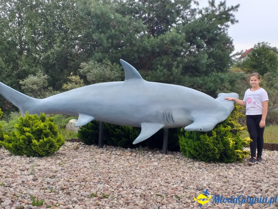 Ocean Park Władysławowo 17.08.2019