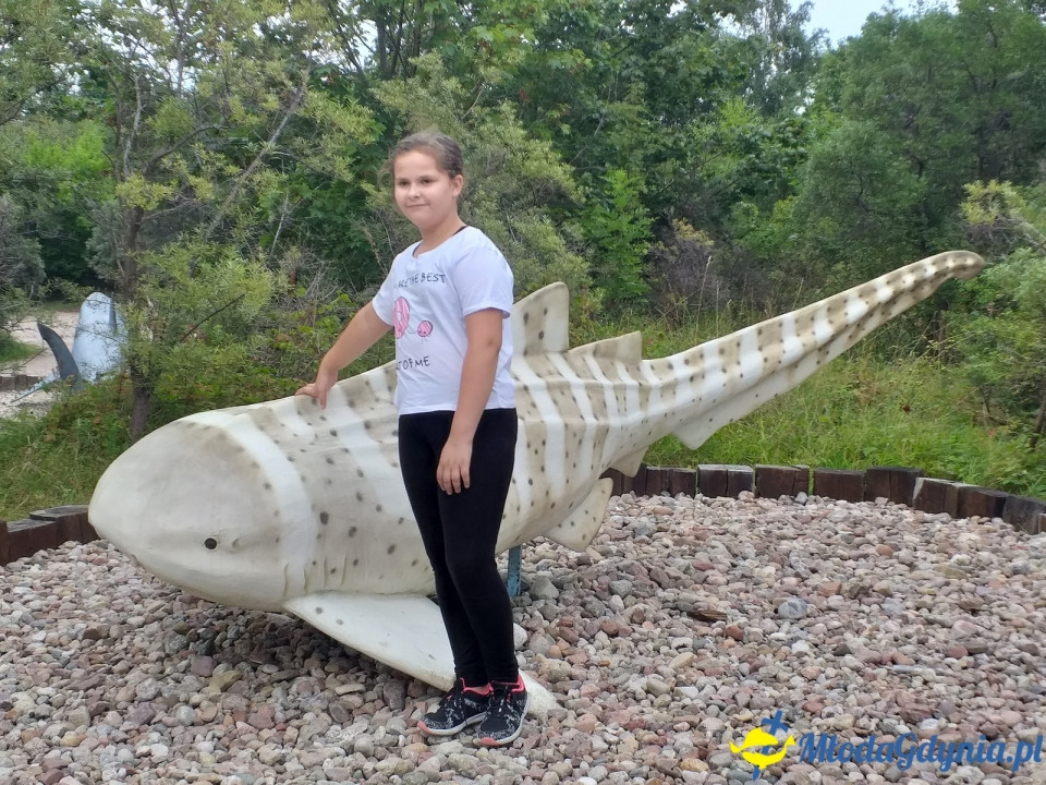 Ocean Park Władysławowo 17.08.2019