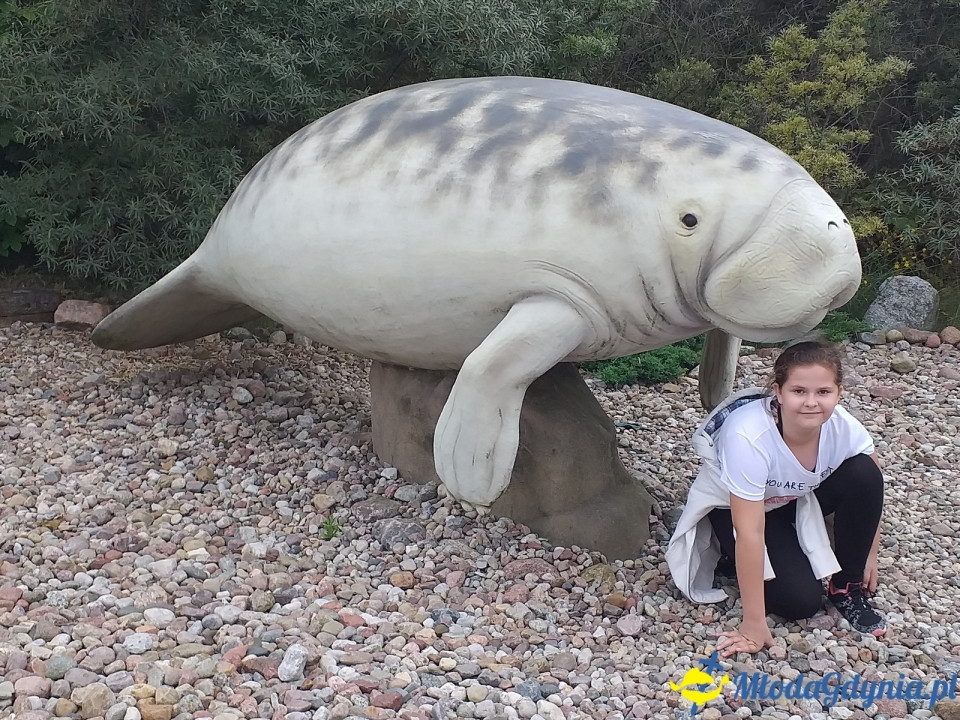 Ocean Park Władysławowo 17.08.2019