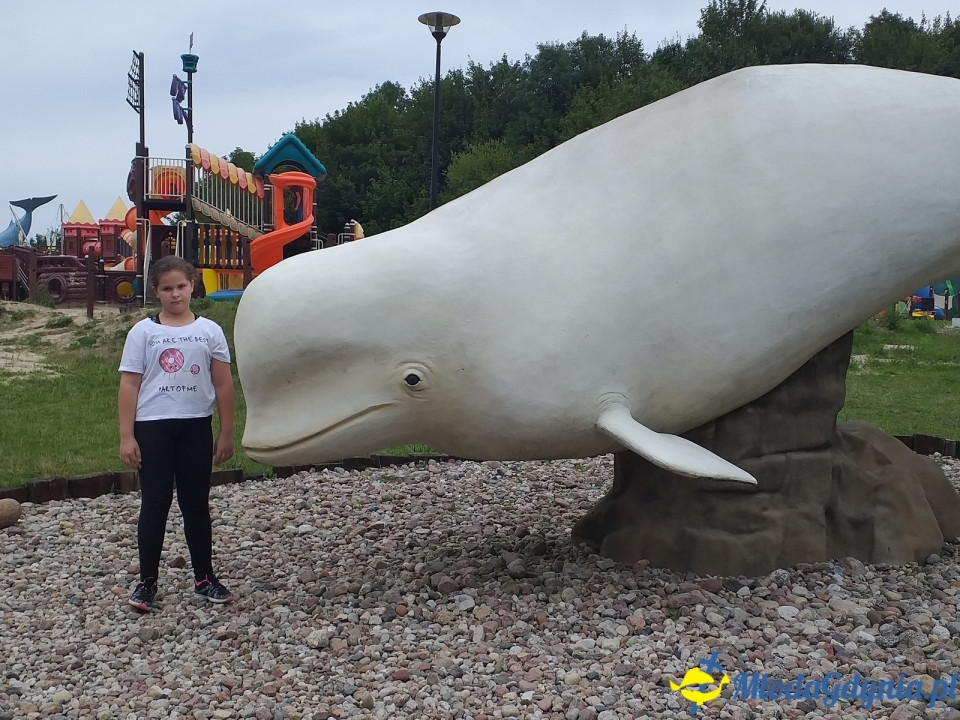 Ocean Park Władysławowo 17.08.2019