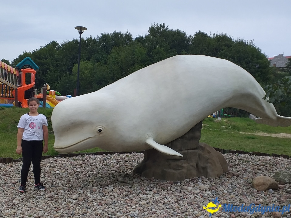 Ocean Park Władysławowo 17.08.2019