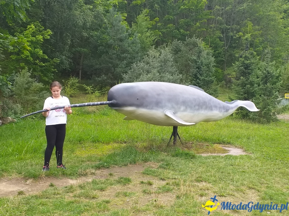 Ocean Park Władysławowo 17.08.2019