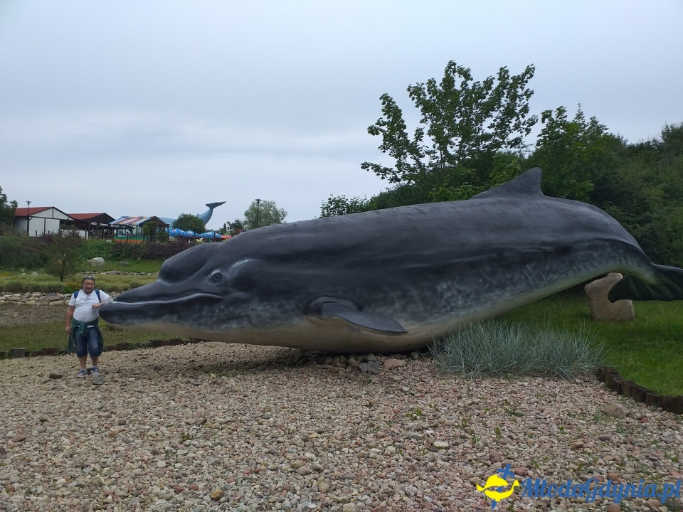 Ocean Park Władysławowo 17.08.2019