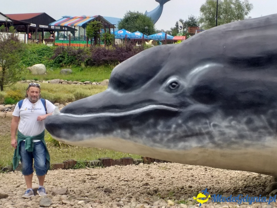 Ocean Park Władysławowo 17.08.2019