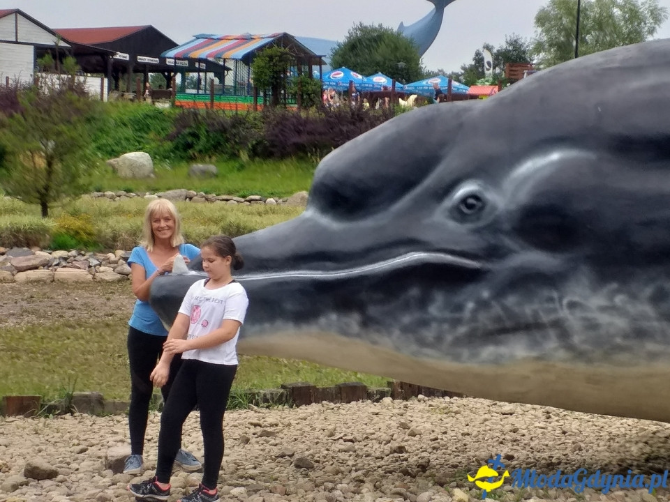 Ocean Park Władysławowo 17.08.2019