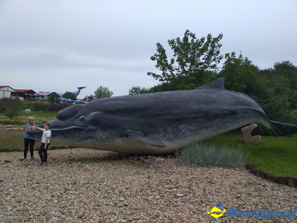 Ocean Park Władysławowo 17.08.2019