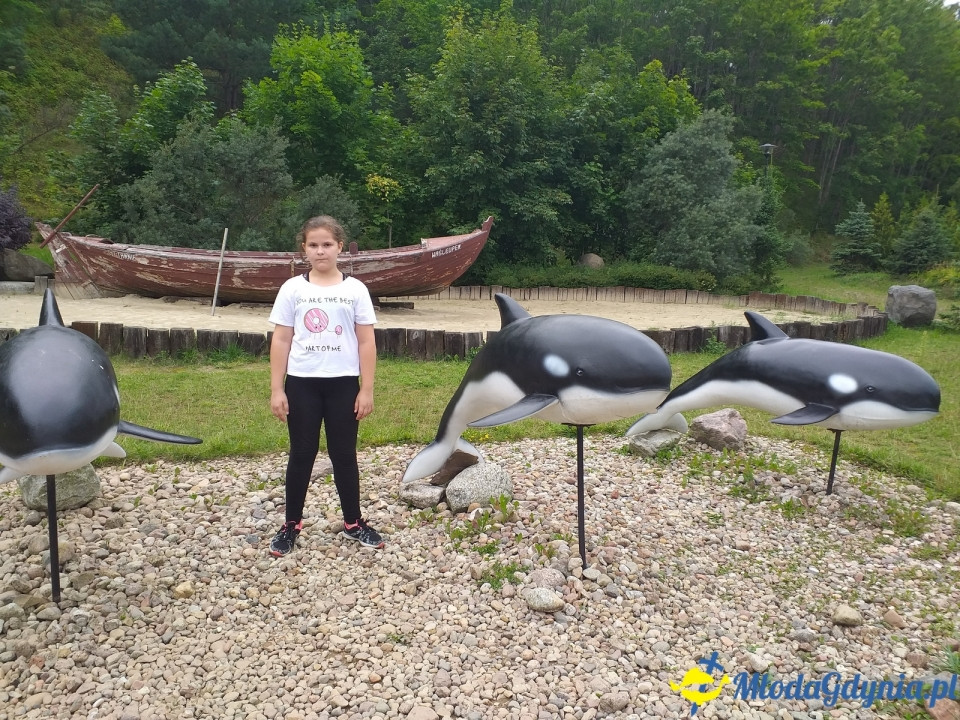 Ocean Park Władysławowo 17.08.2019
