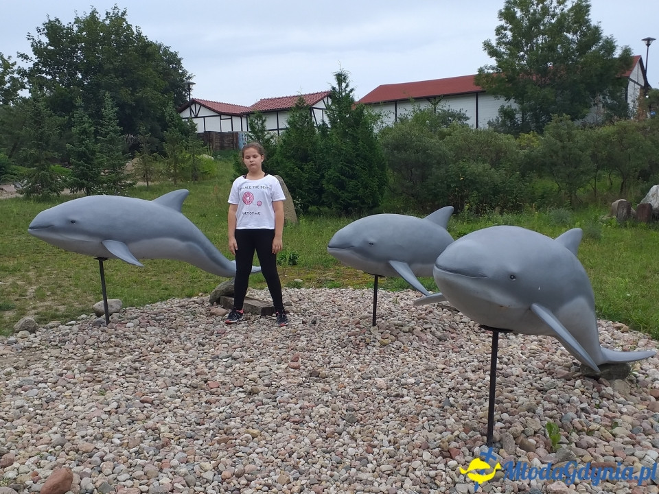 Ocean Park Władysławowo 17.08.2019
