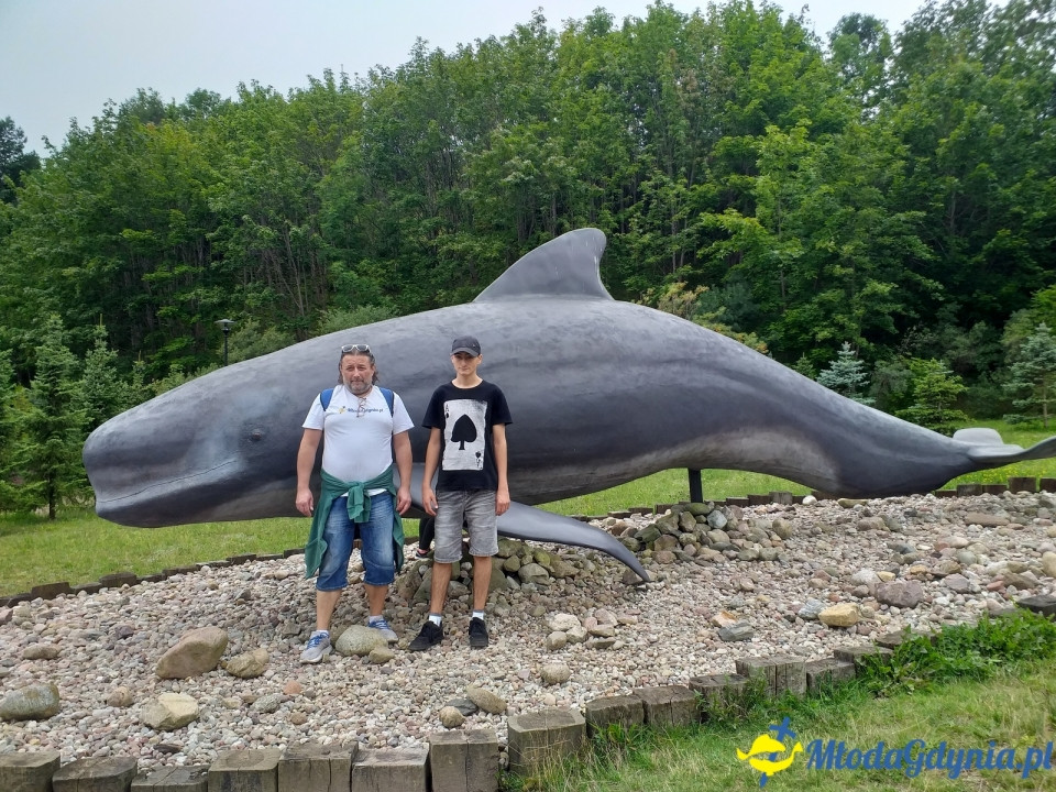 Ocean Park Władysławowo 17.08.2019