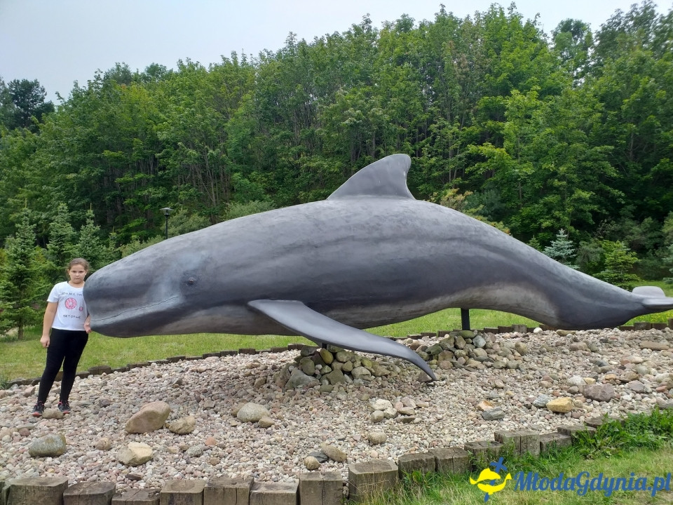 Ocean Park Władysławowo 17.08.2019