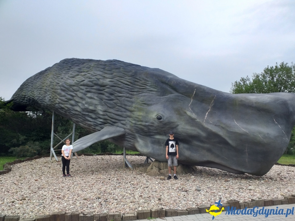 Ocean Park Władysławowo 17.08.2019