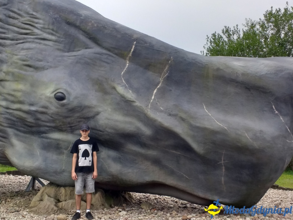 Ocean Park Władysławowo 17.08.2019