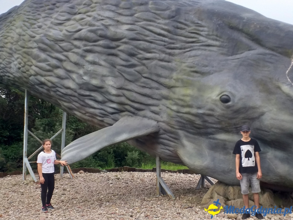 Ocean Park Władysławowo 17.08.2019