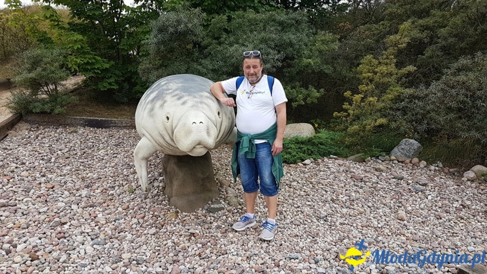 Ocean Park Władysławowo 17.08.2019