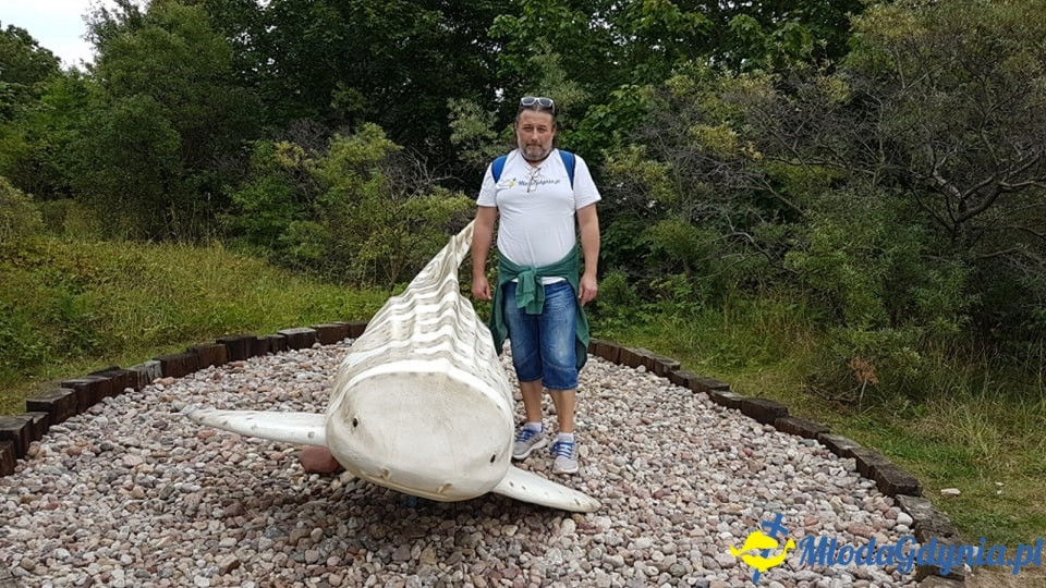 Ocean Park Władysławowo 17.08.2019