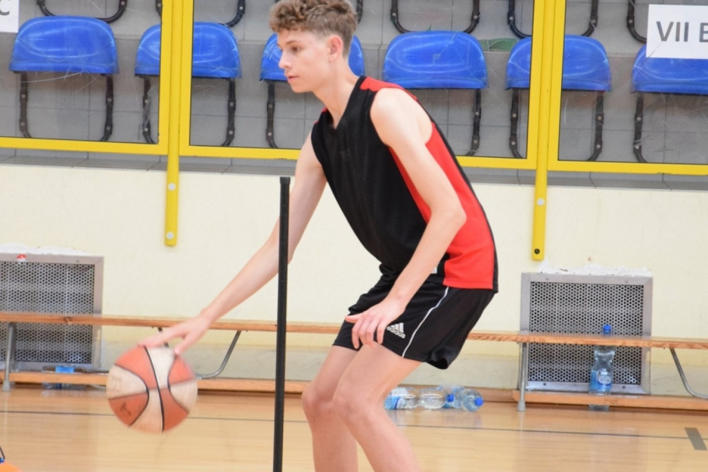 Asseco Junior Camp 2019 (II)