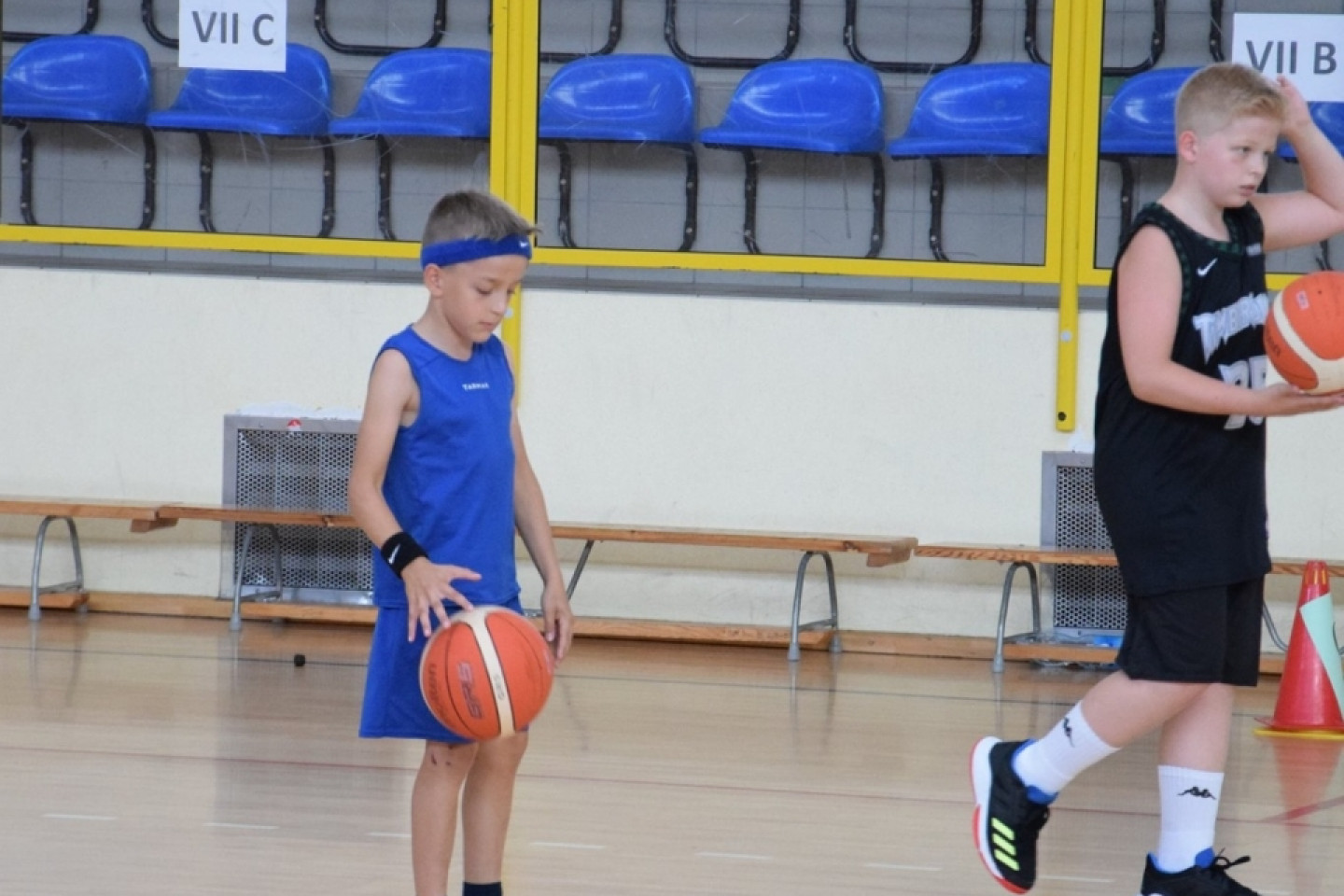 Asseco Junior Camp 2019 (II)