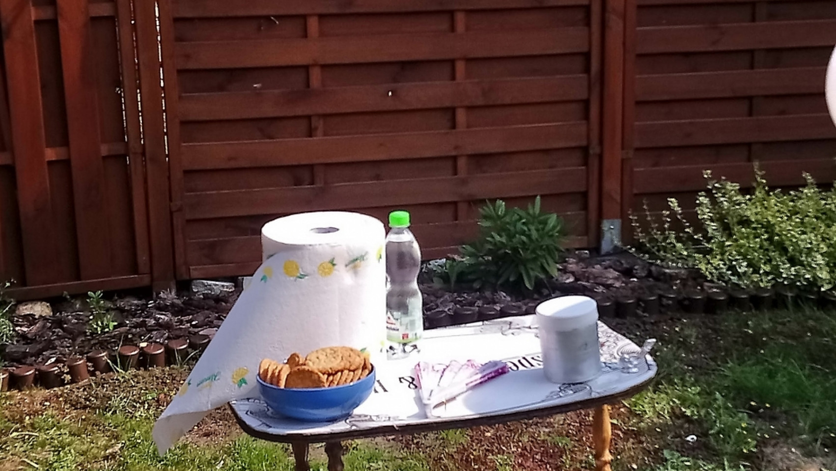 2019-08-31, Grill i kociołek Gdyńskiego Klubu Gazety Polskiej w ogrodach orłowskich